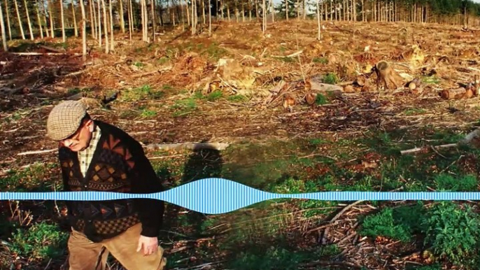 Tempête de 1999 en Creuse : "le jour où le ciel nous est tombé sur la tête"