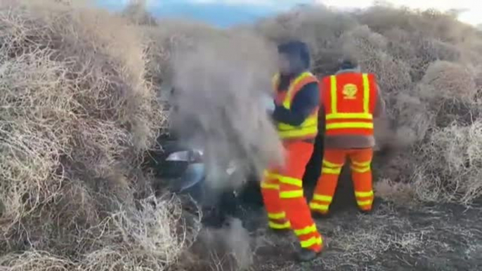 Miles de plantas rodadoras sepultan varios coches en una autopista de EEUU