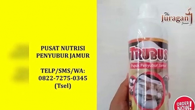 PROMO! TELP/SMS/WA : 0822- 7275-0345 (Tsel), Jual Murah Suplemen Penyubur Jamur Tiram Denpasar Bali,