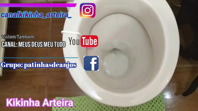 Coloque um dente de alho no seu vaso sanitario e veja o que acontece, 2 dicas caseiras super simples pra voce fazer ainda hoje