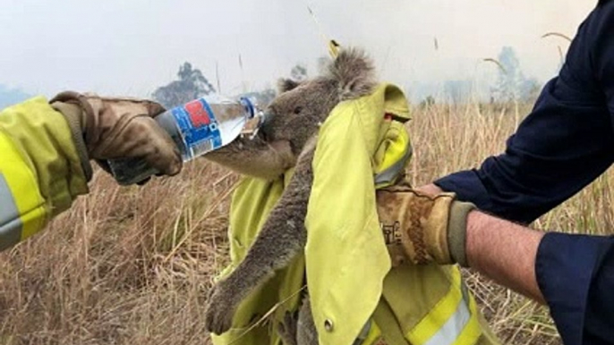 LBC with Andrew Castle 5Jan20 - Australia bushfires & climate change