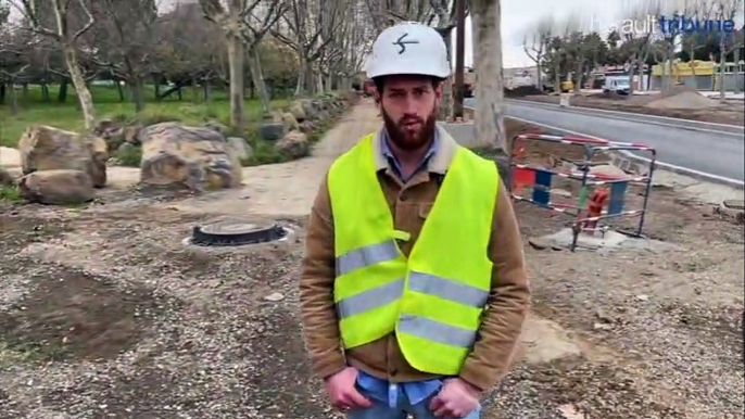 LE CAP D'AGDE - Après les discours politiques, les constatations techniques des travaux aux abords du petit bois - 20 janvier 2020