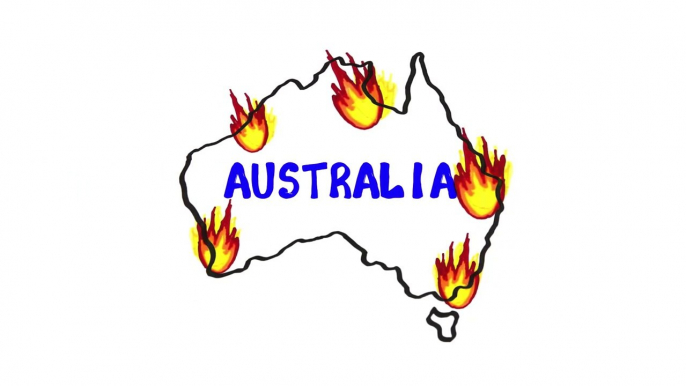 The Australia Fires Will Actually Have This Impact