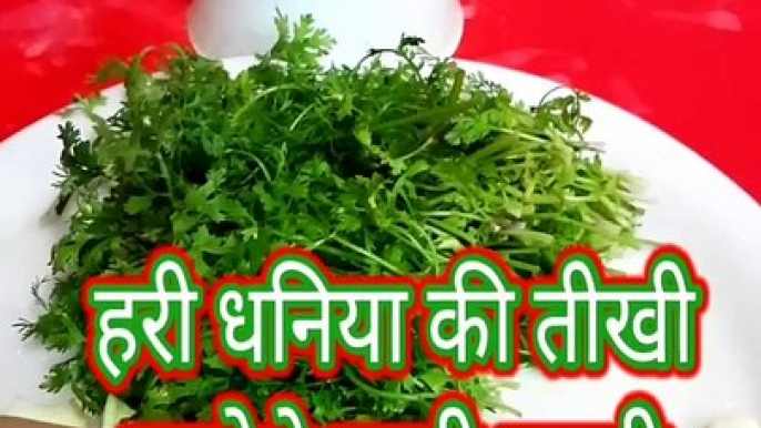 5 Easy & Quick Chutney Recipe I 5 तरह की चटनी बनाने का आसान तरीका I #Shorts #Chutney Recipe by Safina Kitchen