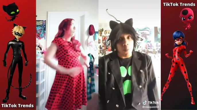 Miraculous Ladybug And Chat Noir Tiktok Cosplay #34