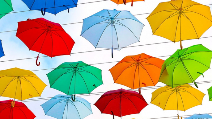 National Umbrella Day: Fun facts about umbrellas