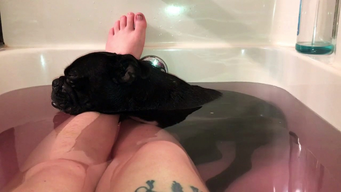 Sleeping Dog Snores During Bath