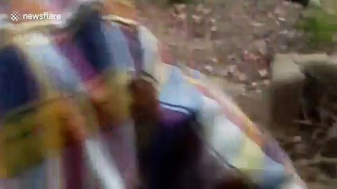 Snakes alive! Cobra crawls out of unconscious man's trousers after he is rescued from well