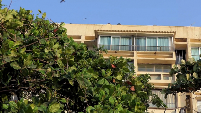 Film actress Rekha's House at Bandra West, Mumbai, India