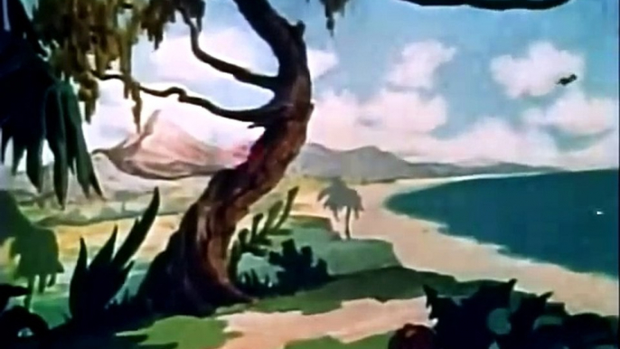 Fleischer cartoon Color Classic Hawaiian Birds 1936(old cartoons vintage public domain)