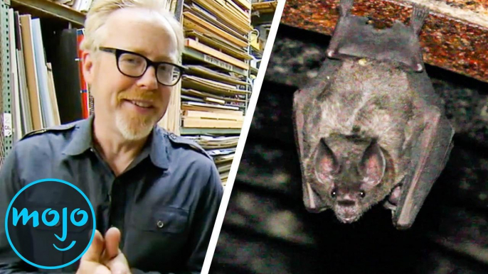 Top 10 Myths We NEED to See MythBusters Test