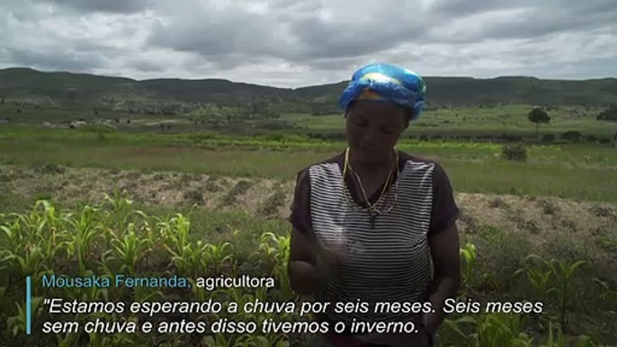 Mulheres angolanas sobrevivem diante das alterações climáticas