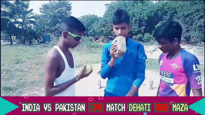 Every holi ever | india vs pakistan cricket match || dehati tube maza|| IPL Cricket match live 2020 || IPL live Cricket||