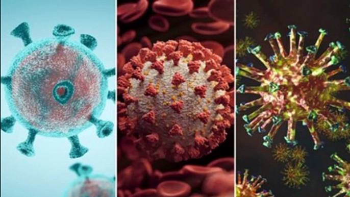 Coronavirus 'mutated into three different strains' as it spread across world