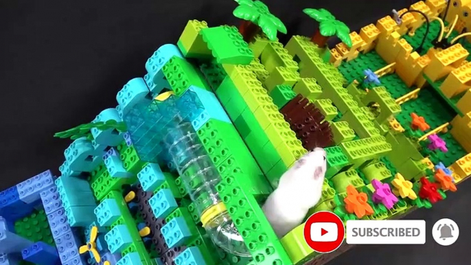 My Funny Pet Hamster in Lego Obstacle Course