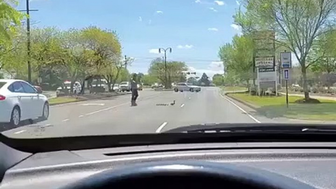 Ce policier aide des canards à traverser la route