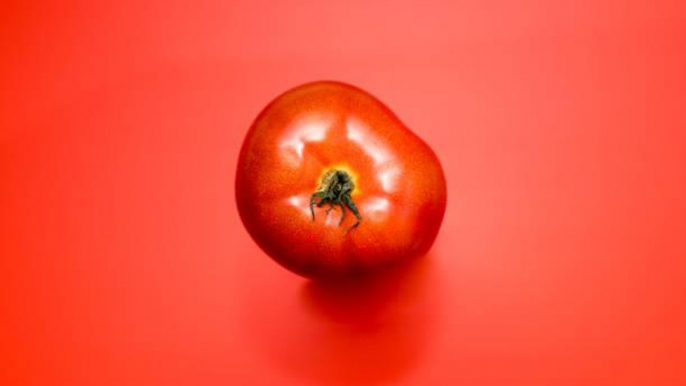 Giant Tomato Returned to Canadian Restaurant After Going Missing 4 Years Ago