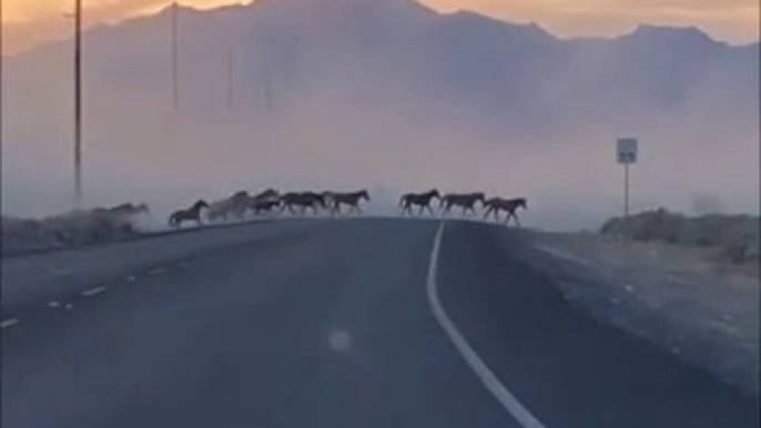 Il voit un énorme nuage de fumée au loin, ce qu'il découvre est incroyable