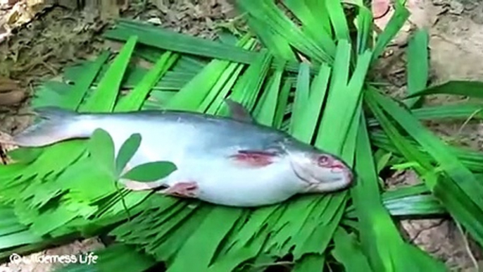 Ce poisson a avalé une tortue entière qui était encore vivante lorsqu’elle était sortie de l’intestin du poisson.