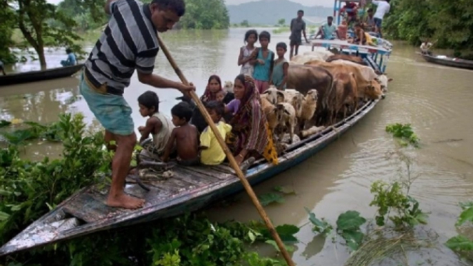 Flood situation worsens in Assam: Ground report