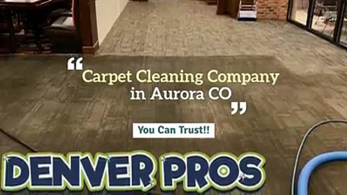 Denver Pros. Carpet, Air Duct & Window Cleaning