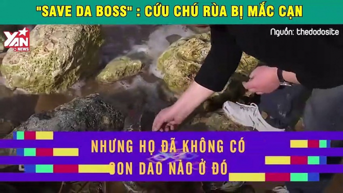 Save da boss: Chứng kiến chú rùa biển đáng thương bị mắc cạn được cứu giúp bằng cách không thể ngờ tới