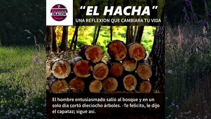 EL HACHA - UNA REFLEXIÓN QUE TE HARÁ REFLEXIONAR - REFLEXIONES CRISTIANAS