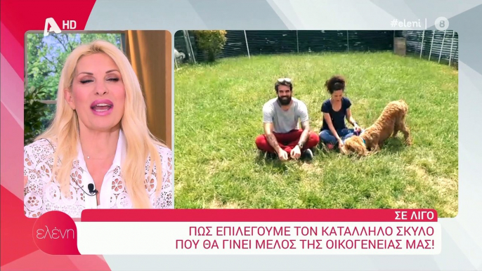 Ελένη Μενεγάκη: Διέκοψε την εκπομπή της και πήγε άρον άρον σε διαφημίσεις – Τι συνέβη;