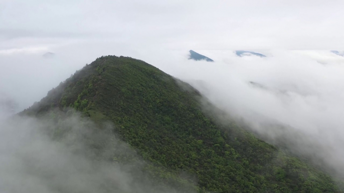 Do you love Natures?  | Jungle | Waterfall | Hills | Clouds | Autumn