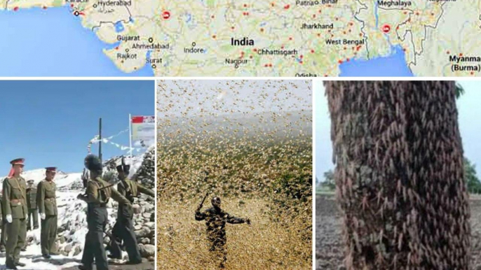 India-China Face Off And Locusts Swarms, A Big Challenges For India