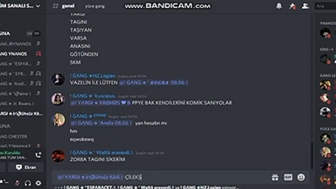 ((GANG)) YNANOS VS JR. RUHSUZ ((YARGI)) SUSMASINA DİSCORD SÖVÜŞ