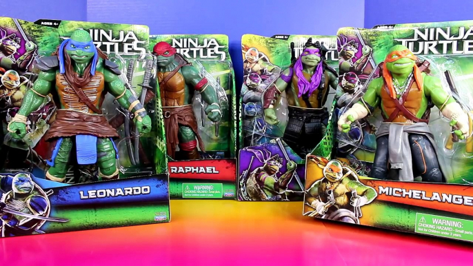 TMNT Teenage Mutant Ninja Turtles Raphael Michelangelo Leonardo Donatello