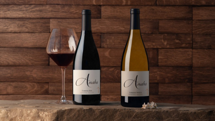 Amazing Sonoma Wines to Drink Right Now