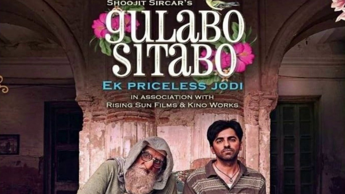 GULABO SITABO REVIEW  ||  ARTISTIC SEVENTH SENSE