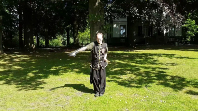 Tiger Fist - Fu Hu Kuen - Sifu Patrick van Steen - Five Animal Kung Fu - Ng Ying Kungfu vechtsport Apeldoorn