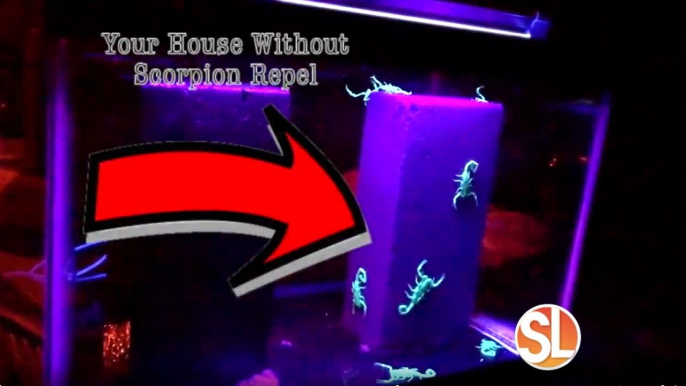 Scorpion Repel is a new way of keeping scorpions from entering your home