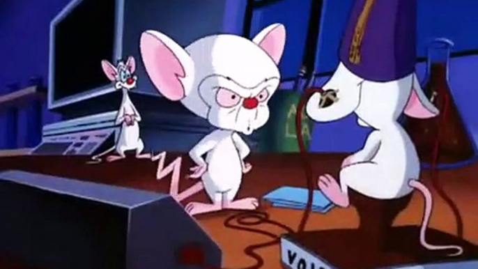 Pinky y Cerebro - Romy