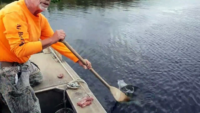 Cet homme s’amuse avec cet alligator très sympathique.