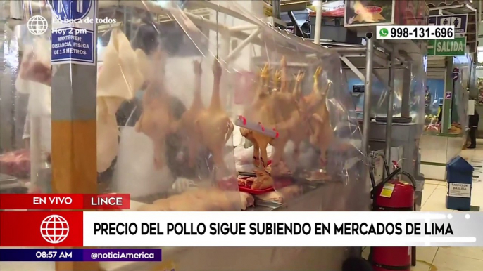 Precio del pollo sigue subiendo en los mercados de Lima | Primera Edición (HOY)