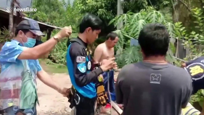 Pet kitten saved after falling down 25ft deep well in Thailand