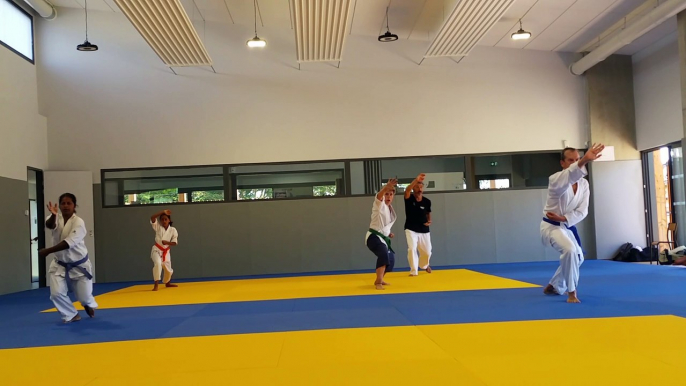 Entraînements estivaux de Karaté-Do Shotokai (École Mushinkai) - Juillet 2020 | Kata Heian shodan (1)