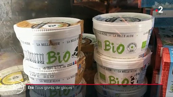 Les ventes de crèmes glacées s'envolent  : Reportage à Carcassonne, où une marque veut conquérir la France entière avec ses produits bio