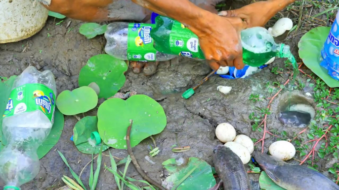 Experiment:  Unbelievable Fishing With Fanta Vs Mentos Vs Eggs Catch Fish From Hole | Animal Trap