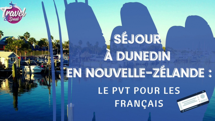 Séjour à Dunedin en Nouvelle-Zélande : le PVT pour les Français