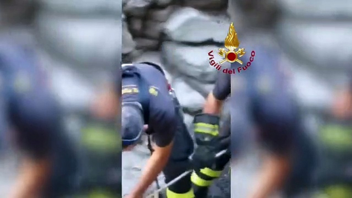 Vulcano, cane cade in dirupo: intervengono i Vigili del Fuoco, le immagini del salvataggio