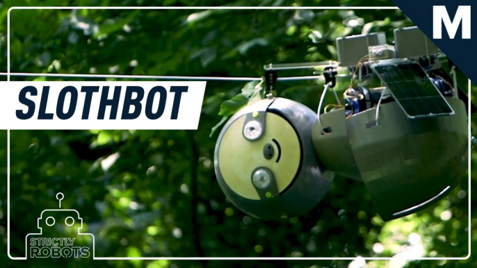 Georgia Tech built a ‘slothbot’ that slowly climbs through trees — Strictly Robots