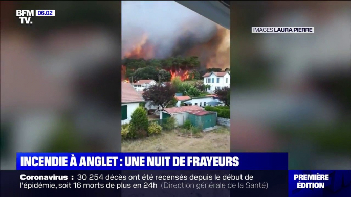 Un incendie à Anglet ravage la forêt de Chiberta dans les Pyrénées-Atlantiques