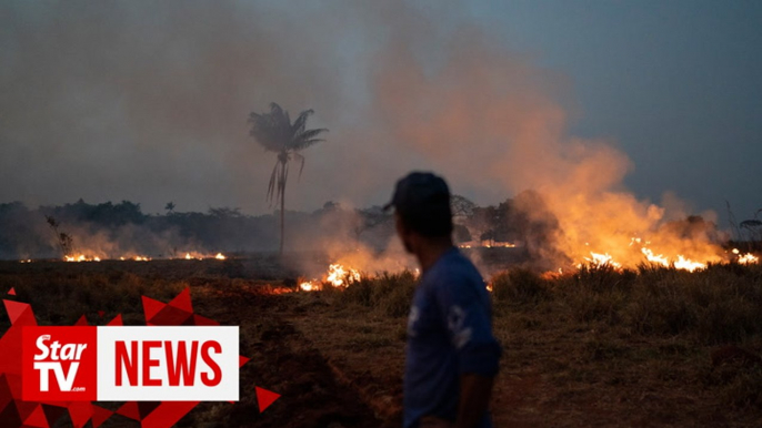 Brazil to send troops to fight Amazon fires, says president