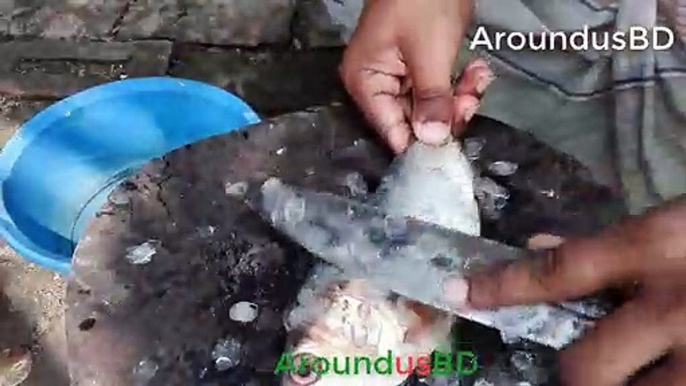 Big hilsa fish cutting traditional method - পদ্মা নদীর বড় ইলিশ মাছ কাটিং