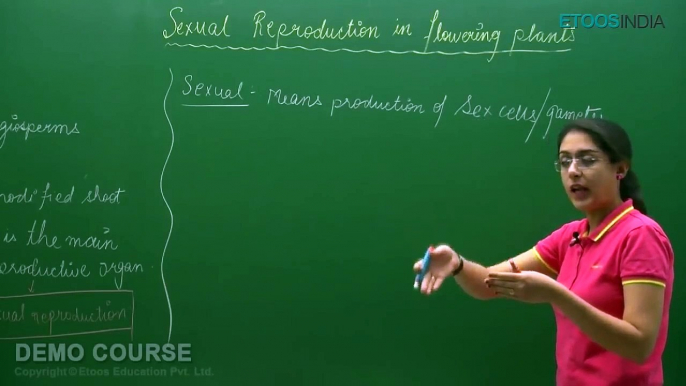 Sexual Reproduction in Flowering Plants for class 12th